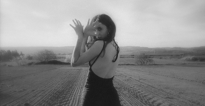 Una luce nella foresta